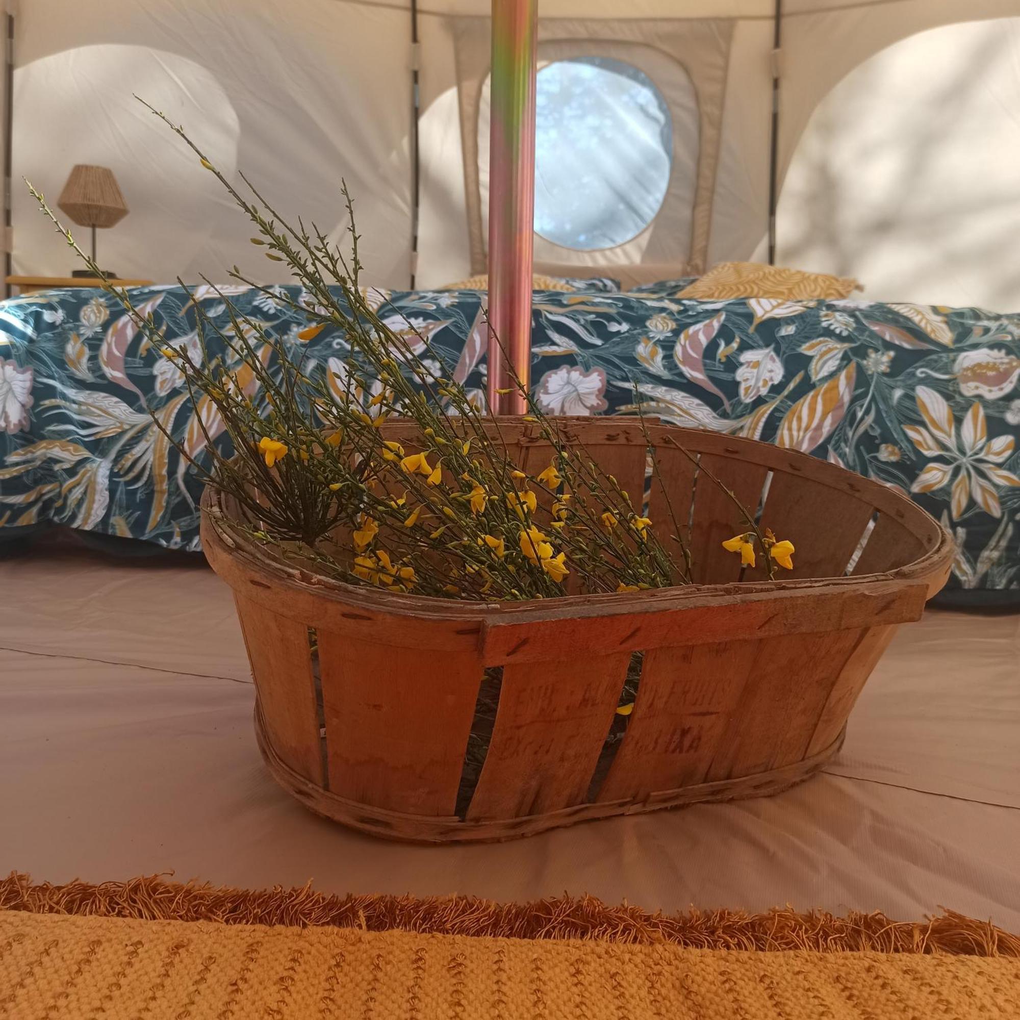 ホテル Eco Ceiba Busque エクステリア 写真